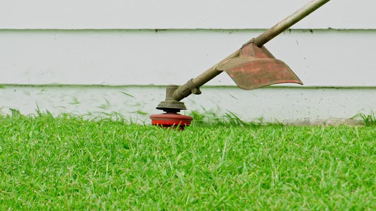 Best Pest Control for Lawns  in Cypress, CA